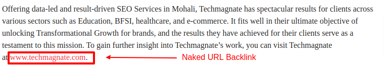Naked URL Backlink